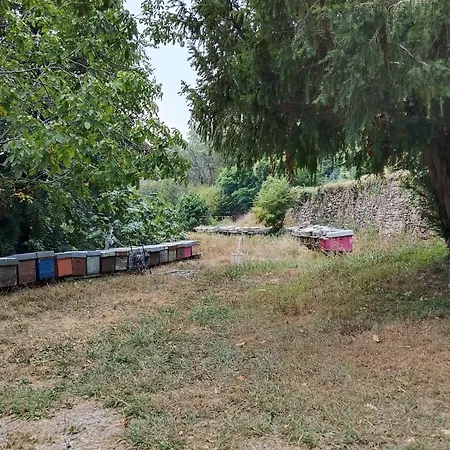 Pensión Foresteria Del Passo Forcora