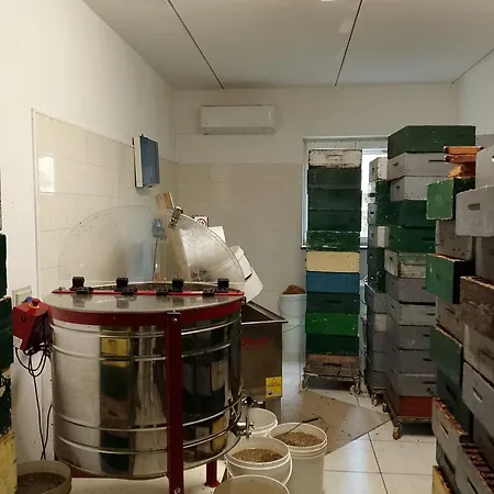 Pensión Foresteria Del Passo Forcora